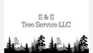 S&S Logo